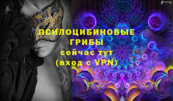 Альфа ПВП Аркадак