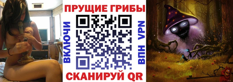 Псилоцибиновые грибы MAGIC MUSHROOMS  гидра tor  Луховицы  купить наркоту 